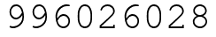 Число 996026028.