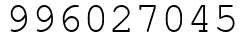 Число 996027045.