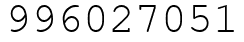 Число 996027051.