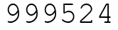Число 999524.