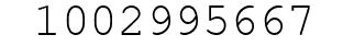 Number 1002995667.