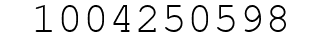 Number 1004250598.