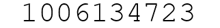 Number 1006134723.