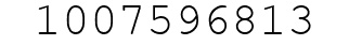Number 1007596813.