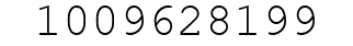 Number 1009628199.
