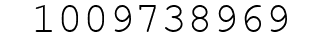 Number 1009738969.