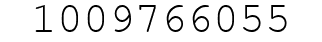 Number 1009766055.