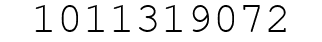 Number 1011319072.