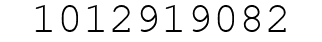 Number 1012919082.
