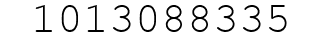 Number 1013088335.