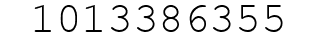 Number 1013386355.