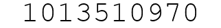 Number 1013510970.