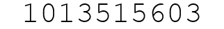 Number 1013515603.