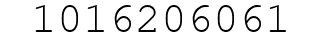 Number 1016206061.