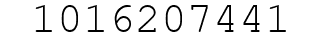 Number 1016207441.