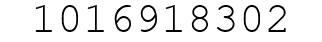 Number 1016918302.