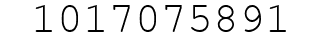 Number 1017075891.