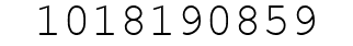Number 1018190859.