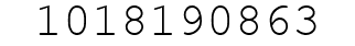 Number 1018190863.