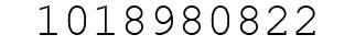 Number 1018980822.