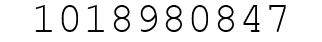 Number 1018980847.