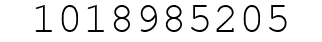 Number 1018985205.
