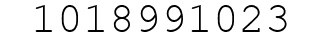 Number 1018991023.