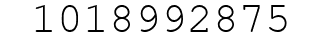 Number 1018992875.