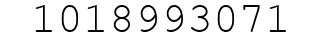 Number 1018993071.