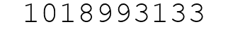 Number 1018993133.