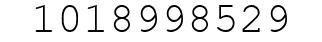 Number 1018998529.