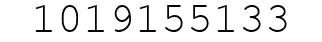 Number 1019155133.
