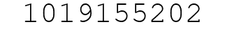 Number 1019155202.