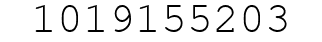 Number 1019155203.