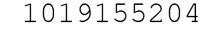 Number 1019155204.