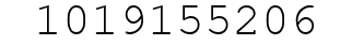 Number 1019155206.