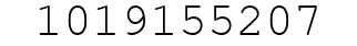 Number 1019155207.