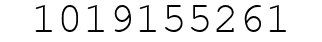 Number 1019155261.