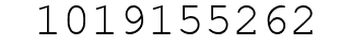 Number 1019155262.