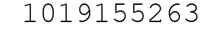 Number 1019155263.