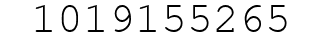 Number 1019155265.