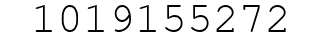 Number 1019155272.