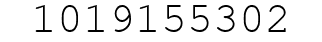 Number 1019155302.