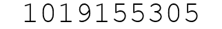 Number 1019155305.