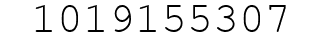 Number 1019155307.