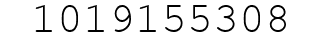 Number 1019155308.