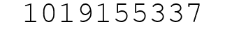 Number 1019155337.