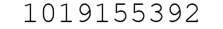 Number 1019155392.