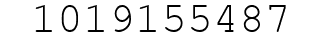 Number 1019155487.