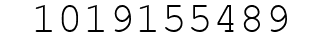 Number 1019155489.